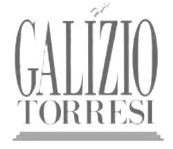 Preview_logo_galizio_torresi